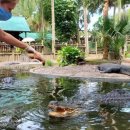 안 수의과병원 이미지