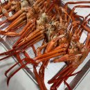 (주)가나수산 이미지