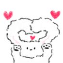 플라워퍼피 이미지