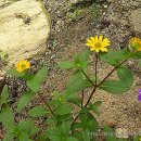 선황농장 이미지