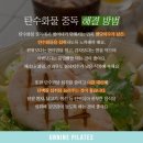 중독언니네