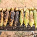 탄현경희한의원 이미지