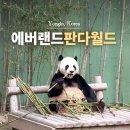 세컨 하우스 | 에버랜드 판다월드 시간 큐패스 사용 후기 세컨하우스 레서판다