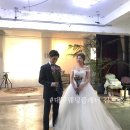 플라타너스스튜디오 | 대구 애견동반웨딩촬영 + 플라타너스스튜디오후기!