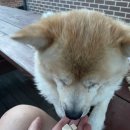 토담스펫 이미지