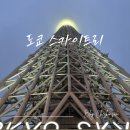 도쿄 여행 필수 코스 추천 '스카이트리' 전망대 - 예약, 높이, 입장권, 주술회전, 카페