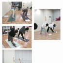 담마샨티요가