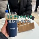 신세계백화점센텀시티 | 부산 센텀 카페 추천 신세계백화점 하프커피 센텀시티 내돈내산 후기