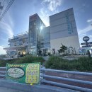 교차로 섬형 인도 | 군산 여행 - 장자바다정원 카페 장자도 오션뷰 맛집 카페 추천 내돈내산 후기