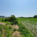 난곡동-49 이미지