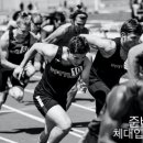 체대입시 FA 이미지