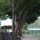 아지청소년야영장 이미지