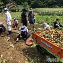 새일농장 이미지