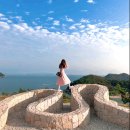 우수영동물병원 | 2020. 11월 둘째주 일기 : 이게 머선129