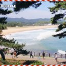 화진포관광지2 이미지