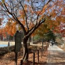 시민테니스장 이미지