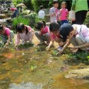 자연과아이들 이미지