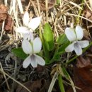 푸른금산어린이집 이미지