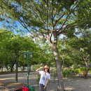 용대초등학교 | 보라빛낭만캠핑장 내돈내산후기
