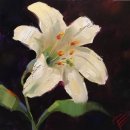 유화 초급 이미지