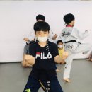 경희대태백태권도장 이미지