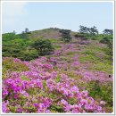 제암산등산로 이미지