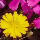 한마음도서관앞 이미지