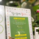 웰스샐러드