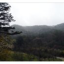 양촌자연휴양림 이미지