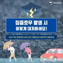 8월 10일 수요일 간추린 뉴스와 날씨 이미지