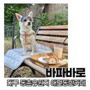 동문고등학교 | [바파바로] 대구 동촌유원지 애견동반카페(강아지 울타리 O) ::바파바로:: 동촌 대형 베이커리카페 추천