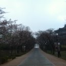 컬투패밀리편의점 이미지