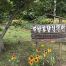헬로카라방펜션