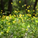 의료법인거명의료재단 영광기독신하병원 이미지