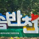 숲과계곡속으로 이미지