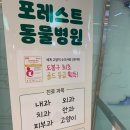 동물진료법인 포레스트 네이버블로그