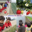 김천중앙초교병설유치원 이미지