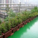 김선태농장 이미지