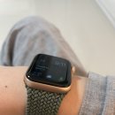 대전엔드리스풀 이미지