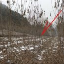 고송보건진료소 이미지