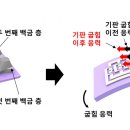 ibs프린팅