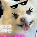 운정속눈썹 루아즈뷰티 브로우바