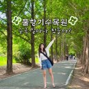 청학로응달길8-3 | 물향기수목원 수국 명소 실시간 개화상황은? 경기도 오산 가볼만한곳 놀거리 데이트