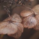 광주컨트리클럽 | 전라북도 순창군 광주컨트리클럽 프론트, 후기, 영업시간, 위치