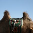 디자인 울림