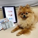 다남약국 이미지