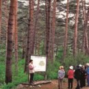 천호대로(남측) 이미지