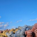 팔도짬뽕마을 | 251207(토) 강릉 당일치기 대게여행 🫛🍨🌊🥂🦀 (팔도전복해물뚝배기 / 강문해변 / 사근진해변 / 강릉골방...