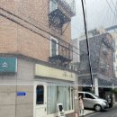 식물학작업실