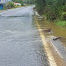 영천댐관광농원 이미지